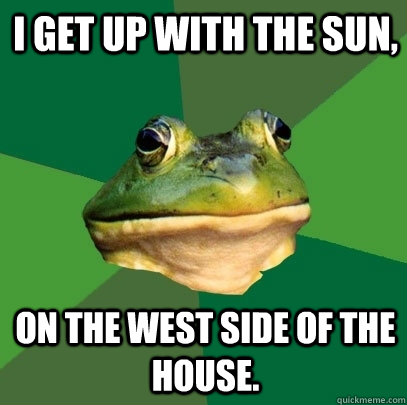 I get up with the sun, On the west side of the house.  Foul Bachelor Frog