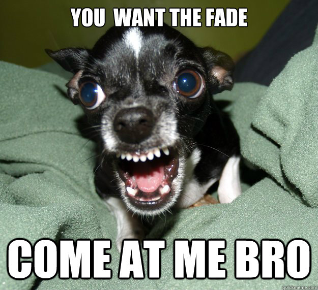 You  want the fade come at me bro  Chihuahua Logic