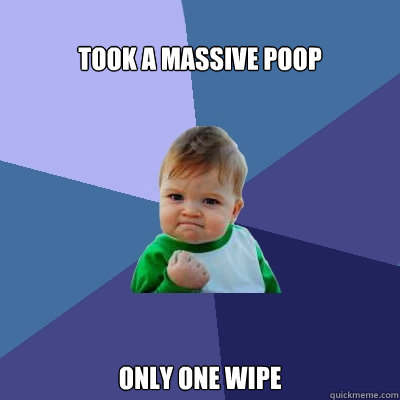 
TOOK A MASSIVE POOP ONLY ONE WIPE  Success Kid