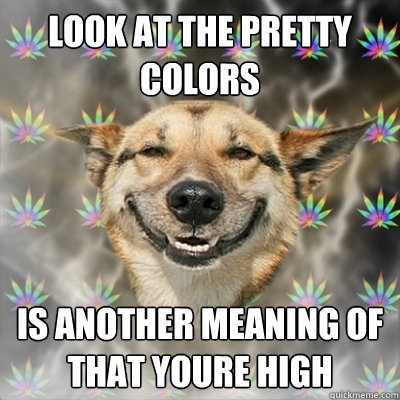 look at the pretty colors is another meaning of that youre high  Stoner Dog