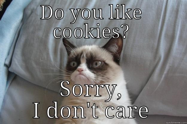 DO YOU LIKE COOKIES? SORRY, I DON'T CARE Grumpy Cat