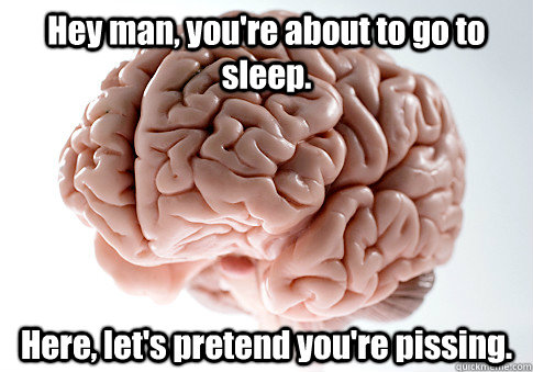 Hey man, you're about to go to sleep. Here, let's pretend you're pissing.  Scumbag Brain