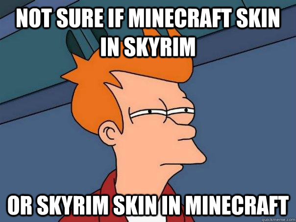 Not sure if minecraft skin in skyrim Or skyrim skin in minecraft  Futurama Fry