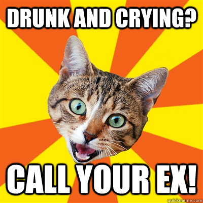 Drunk and crying? Call your ex!  Bad Advice Cat