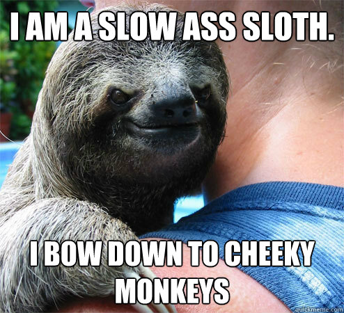 I am a slow ass sloth. I bow down to Cheeky monkeys - I am a slow ass sloth. I bow down to Cheeky monkeys  Suspiciously Evil Sloth