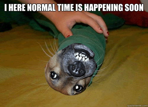 i here normal time is happening soon  - i here normal time is happening soon   Retarded Dog Burrito