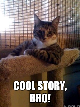 Cool Story, Bro!  The Most Interesting Cat in the World