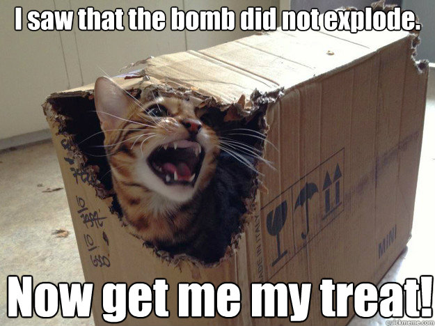 I saw that the bomb did not explode. Now get me my treat! - I saw that the bomb did not explode. Now get me my treat!  schrodinger cat