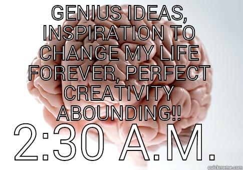 GENIUS IDEAS, INSPIRATION TO CHANGE MY LIFE FOREVER, PERFECT CREATIVITY ABOUNDING!! 2:30 A.M. Scumbag Brain