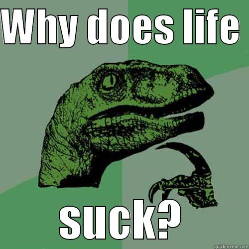 WHY DOES LIFE  SUCK? Philosoraptor