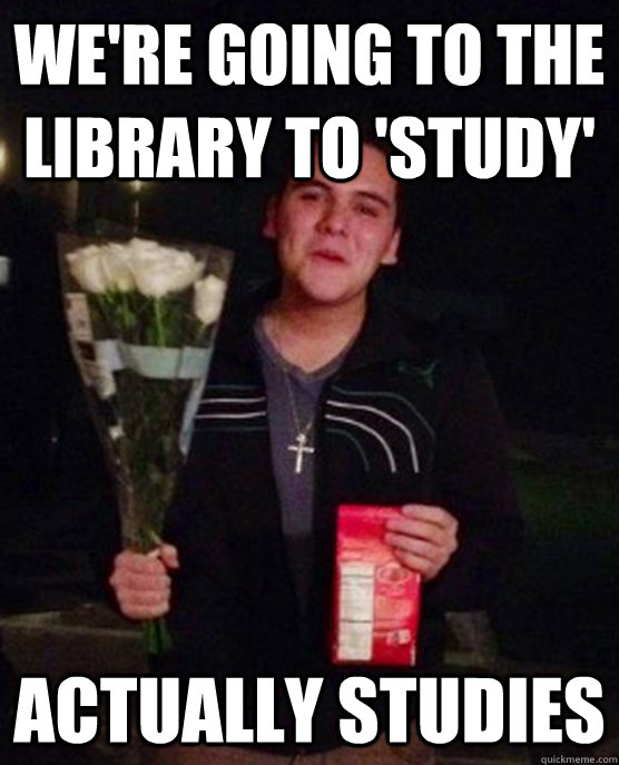 We're going to the library to 'Study' actually studies  Friendzone