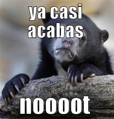 YA CASI ACABAS NOOOOT Confession Bear