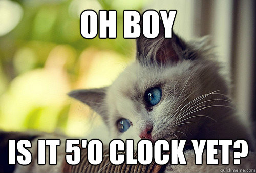 Oh boy Is it 5'O Clock yet? - Oh boy Is it 5'O Clock yet?  First World Problems Cat