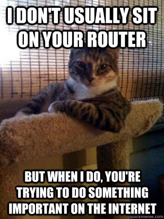 I don't usually sit on your router But when I do, you're trying to do something important on the internet  The Most Interesting Cat in the World