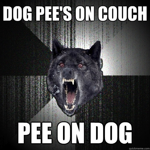 dog pee's on couch pee on dog  Insanity Wolf