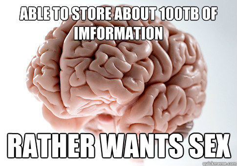 Able to store about 100TB of imformation Rather wants Sex  Scumbag Brain