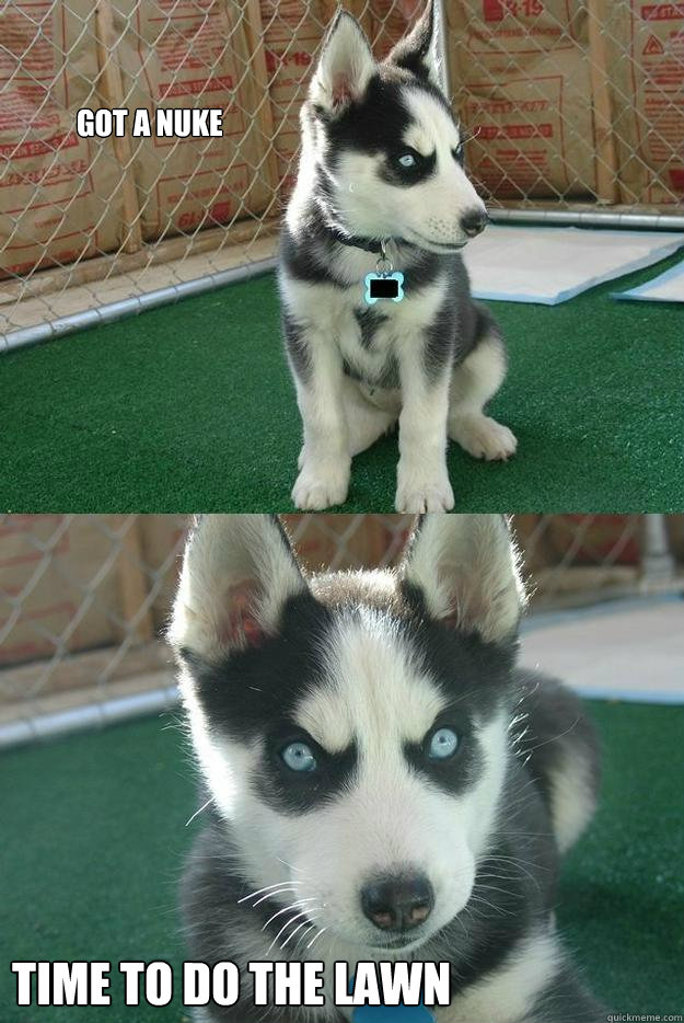 Got a nuke Time to do the lawn  Insanity puppy