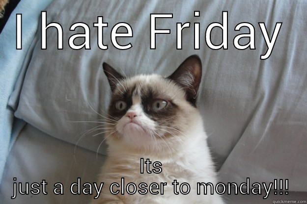 I HATE FRIDAY ITS JUST A DAY CLOSER TO MONDAY!!! Grumpy Cat