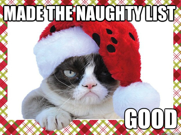 Made the naughty list good  A Grumpy Cat Christmas