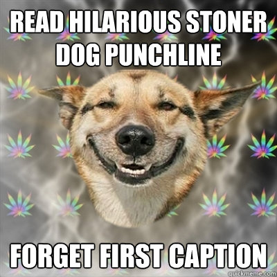 Read hilarious Stoner Dog punchline Forget first caption  Stoner Dog