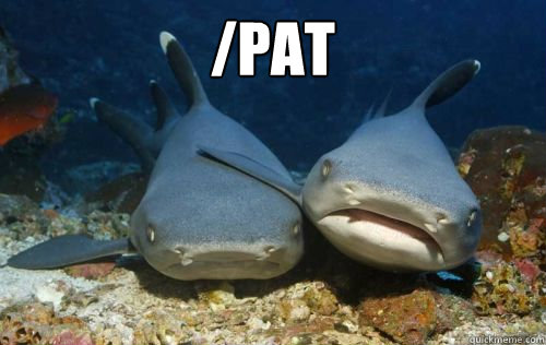 /pat   Compassionate Shark Friend
