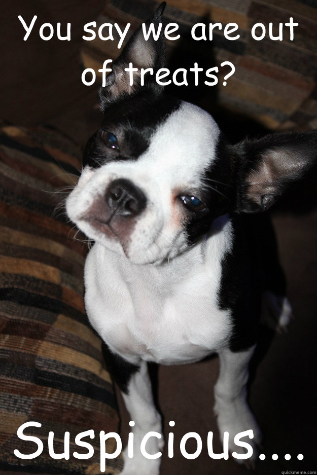 You say we are out of treats? Suspicious....  Suspicious