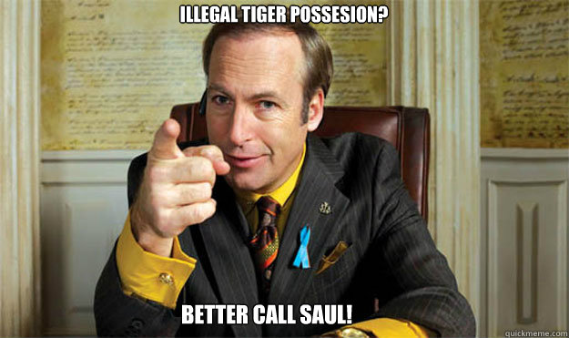 Illegal tiger possesion? BETTER CALL SAUL!  Saul Goodman