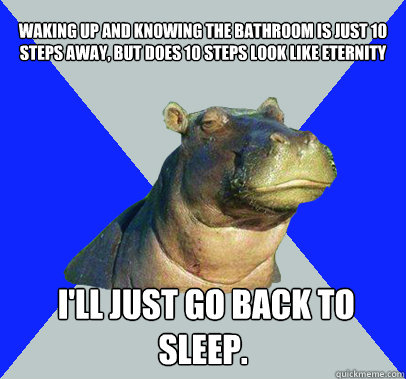 waking up and knowing the bathroom is just 10 steps away, but does 10 steps look like eternity

  I'll just go back to sleep.
  Skeptical Hippo