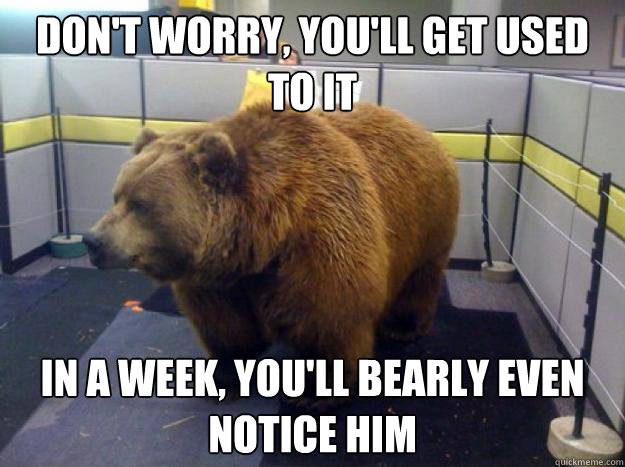 Don't worry, you'll get used to it in a week, You'll bearly even notice him - Don't worry, you'll get used to it in a week, You'll bearly even notice him  Office Grizzly
