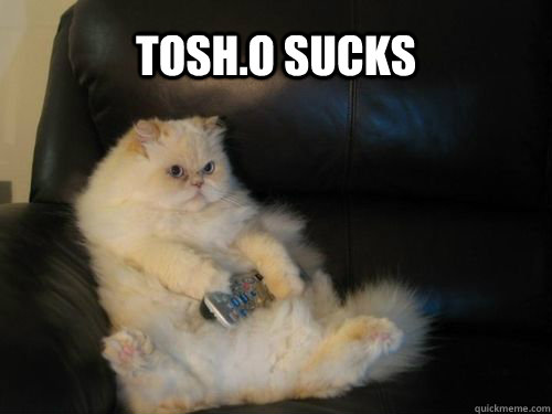 tosh.o sucks  Disapproving TV Cat