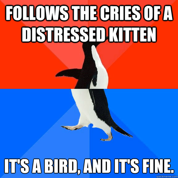 Follows the cries of a distressed kitten it's a bird, and it's fine.  Socially Awesome Awkward Penguin