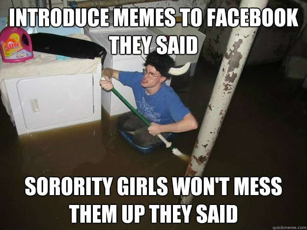 Introduce Memes to Facebook they said sorority girls won't mess them up they said  Laundry Room Viking