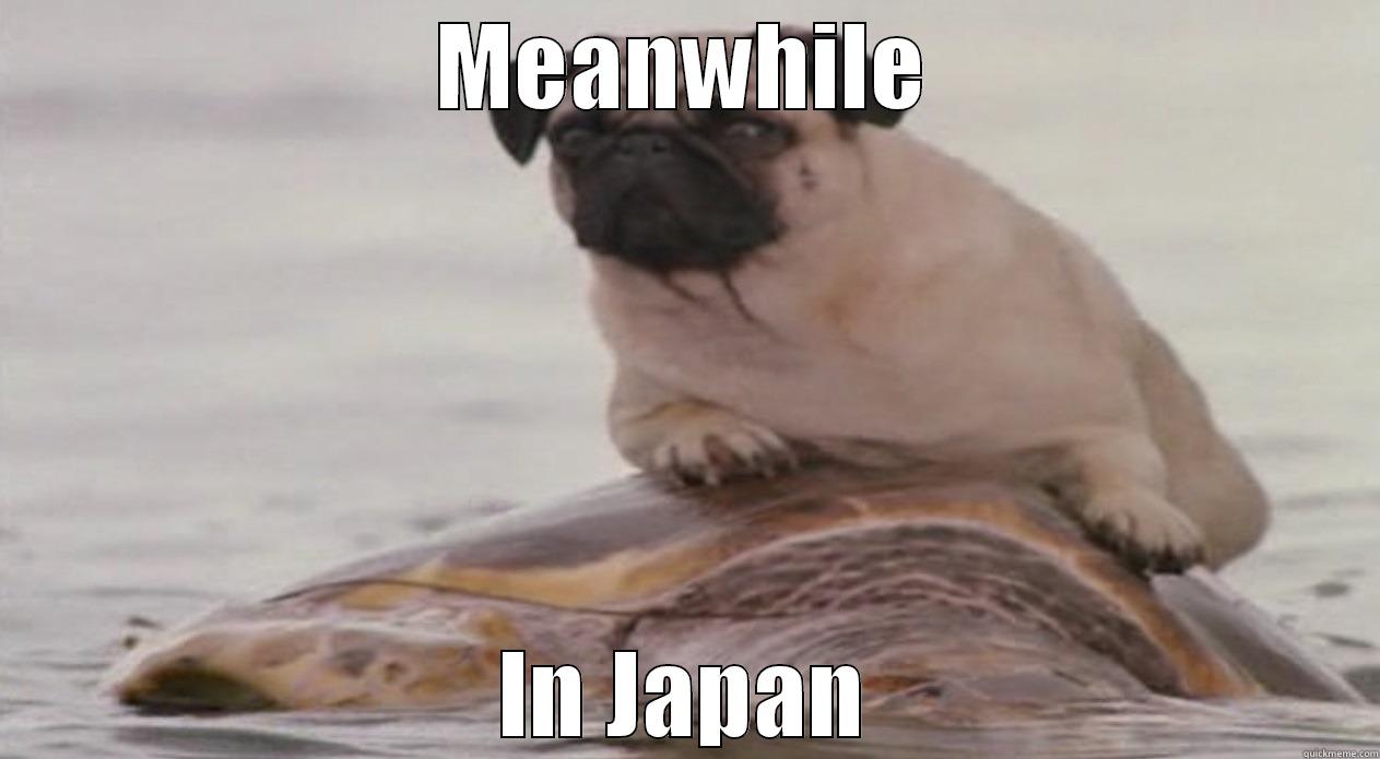 MEANWHILE IN JAPAN Misc