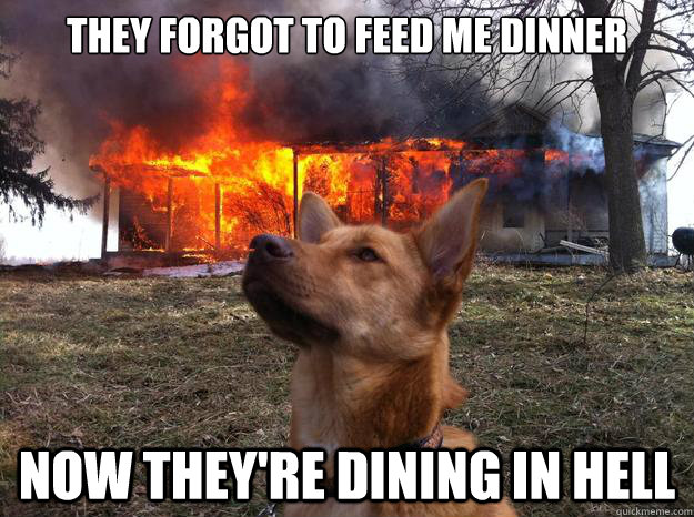 they forgot to feed me dinner now they're dining in hell - they forgot to feed me dinner now they're dining in hell  Bad Dog