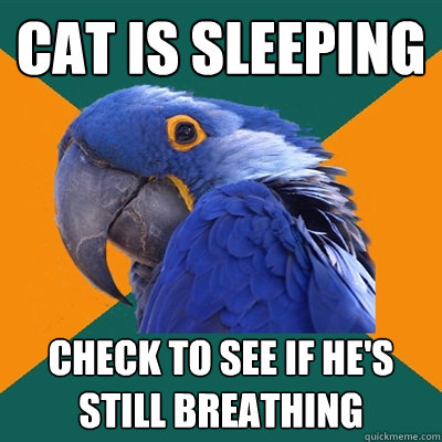 Cat is sleeping Check to see if he's still breathing  Paranoid Parrot