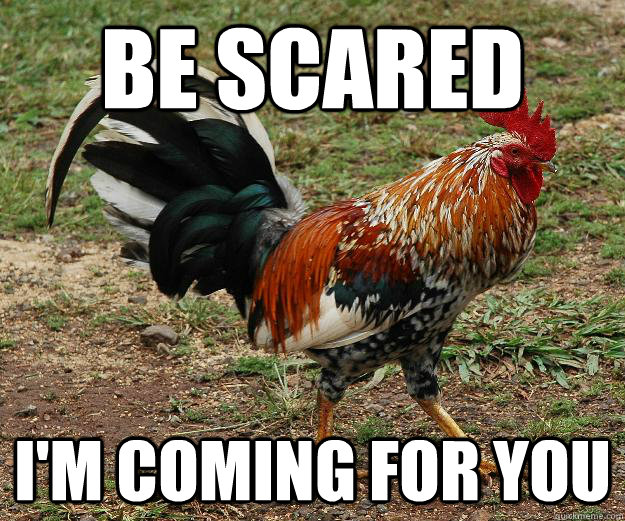Be Scared I'm coming for you - Be Scared I'm coming for you  Red Team Rooster