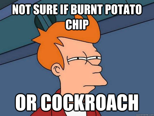 Not sure if burnt potato chip Or cockroach  Futurama Fry