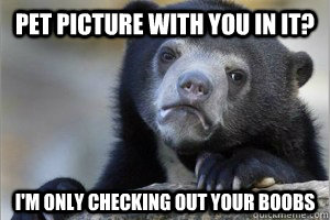 pet picture with you in it? i'm only checking out your boobs  Confession Bear on Facebook