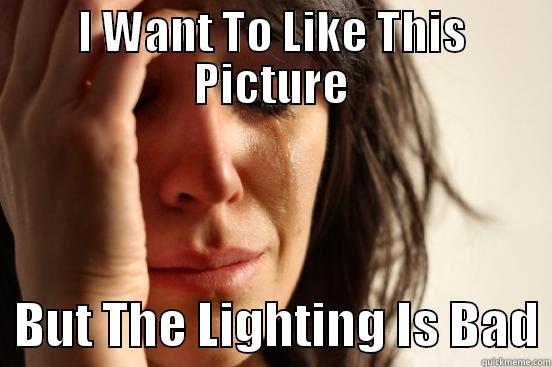 I WANT TO LIKE THIS PICTURE   BUT THE LIGHTING IS BAD First World Problems