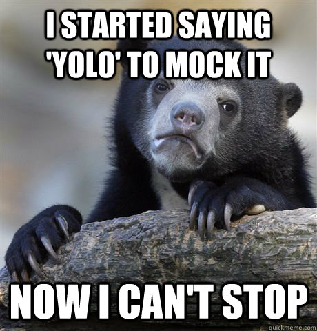 i started saying 'yolo' to mock it now i can't stop  Confession Bear