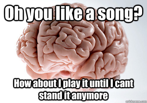 Oh you like a song? How about I play it until I cant stand it anymore  Scumbag Brain