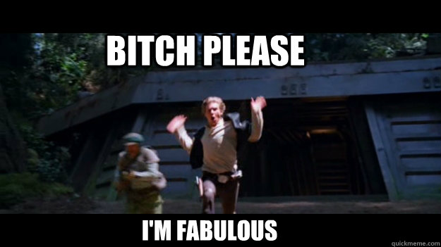Bitch PLease  I'm Fabulous - Bitch PLease  I'm Fabulous  Harrison Ford Gay Run