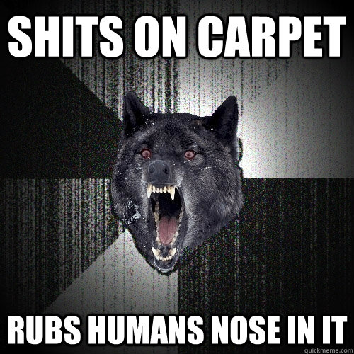Shits on Carpet  Rubs humans nose in it  Insanity Wolf