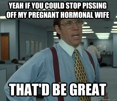 Yeah if you could Stop pissing off my pregnant hormonal wife That'd be great - Yeah if you could Stop pissing off my pregnant hormonal wife That'd be great  Bill Lumbergh