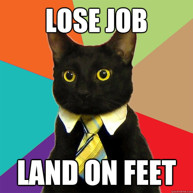 lose job land on feet - lose job land on feet  Business Cat