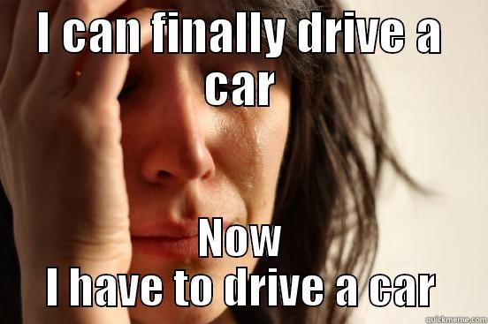 I CAN FINALLY DRIVE A CAR NOW I HAVE TO DRIVE A CAR First World Problems