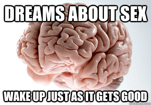 Dreams about sex Wake up just as it gets good  Scumbag Brain
