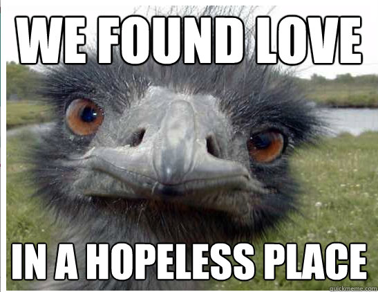 we found love in a hopeless place - we found love in a hopeless place  Big Sad Emu