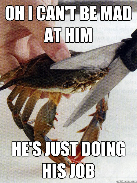 Oh I can't be mad at him He's just doing his job  Optimistic Crab