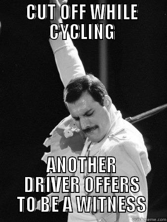 CUT OFF WHILE CYCLING ANOTHER DRIVER OFFERS TO BE A WITNESS Freddie Mercury